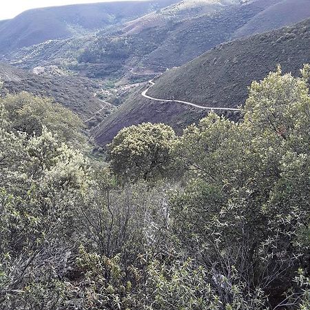 Casa Rural Costanilla San Miguel de Valero ภายนอก รูปภาพ